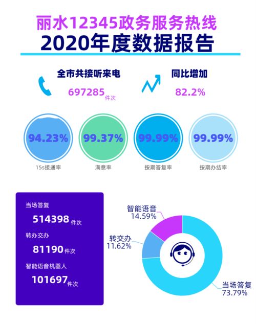 丽水市12345政务服务热线2020年度数据报告 数据处理服务的核心价值与未来展望